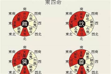 东四命西四命对照表|东四命卦和西四命卦的速查表